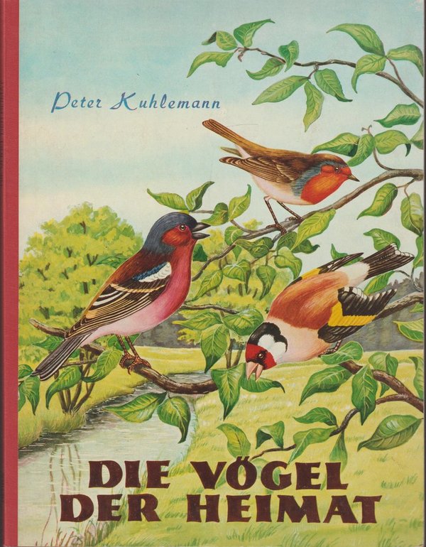 Peter Kuhlemann Die Vögel der Heimat Bilder Sammelabum Herba Verlag