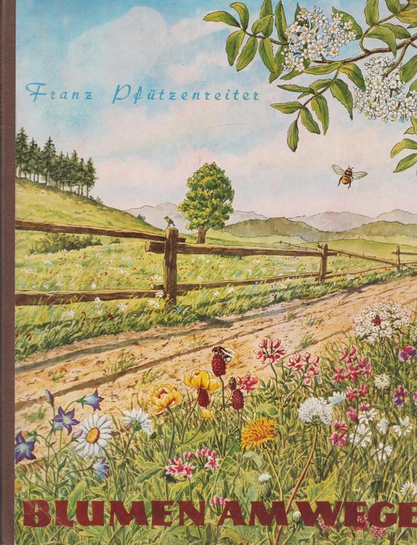 Franz Pfützenreiter Blumen am Wege Bilder Sammelabum Herba Verlag