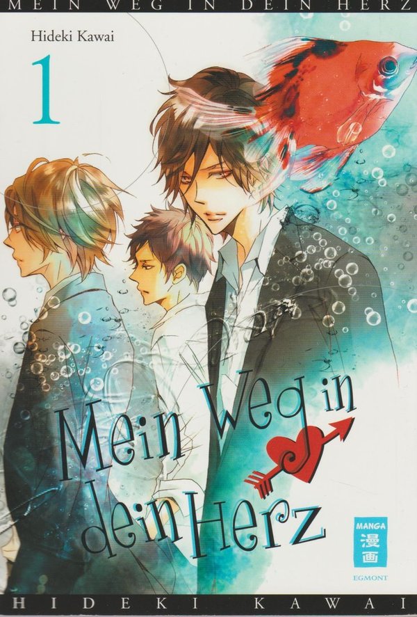 Mein Weg in dein Herz Band 1 Egmont Manga und Anime 2013 von Hideki Kawai